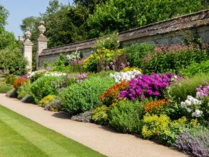 Special Interest Day - Tues 17 October 2023 - Monochrome to polychrome. How colours have transformed the art of garden design