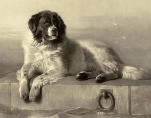 Great and Small: Writers, Their Pets, and Other Animals by Annalie Talent  - Thursday 2nd October 2025